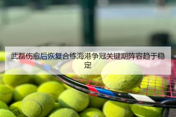 武磊伤愈后恢复合练海港争冠关键期阵容趋于稳定