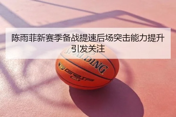 陈雨菲新赛季备战提速后场突击能力提升引发关注