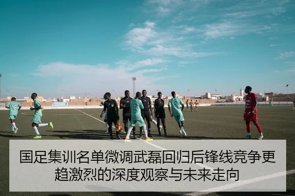 国足集训名单微调武磊回归后锋线竞争更趋激烈的深度观察与未来走向
